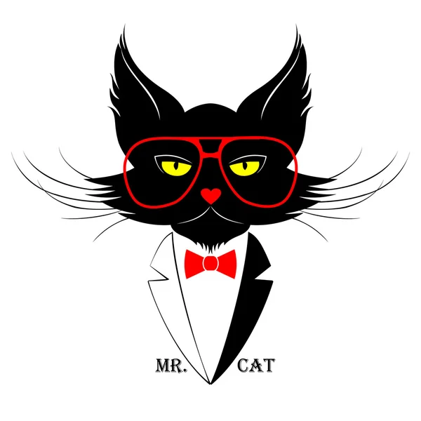 Sr. Retrato de gato —  Vetores de Stock