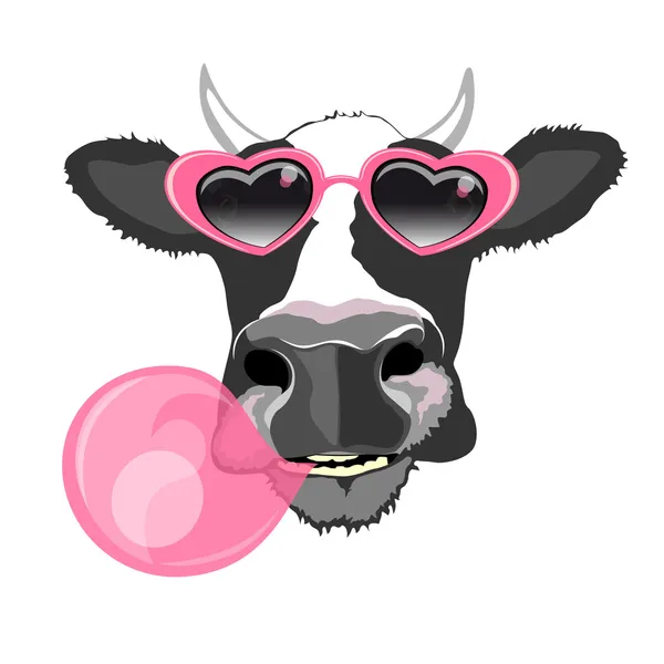 Cow in pink glasses with bubble gum — Stock Vector