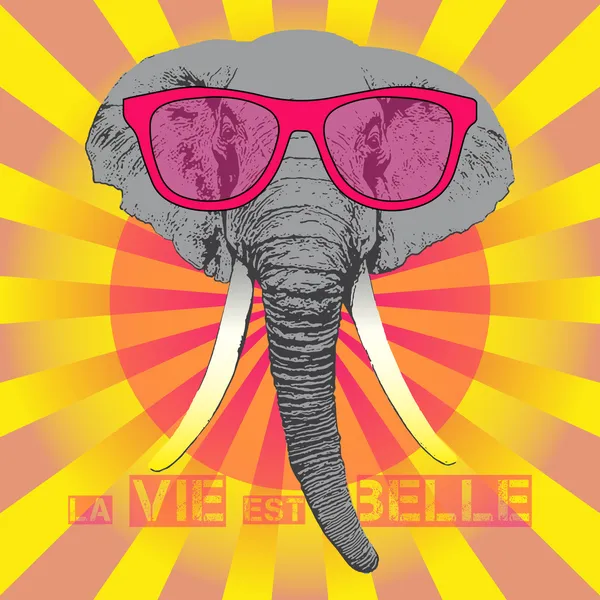 Elefante en gafas rosas — Vector de stock