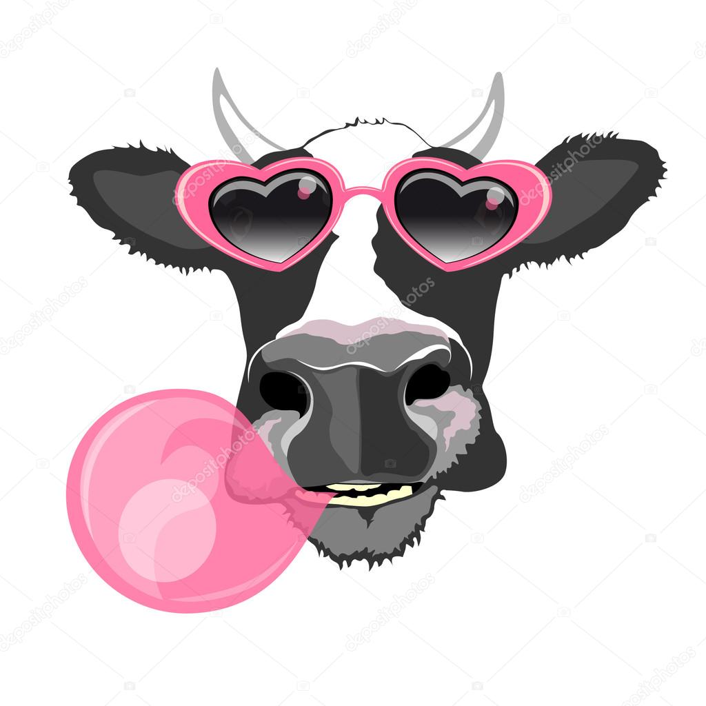 Cow in pink glasses with bubble gum