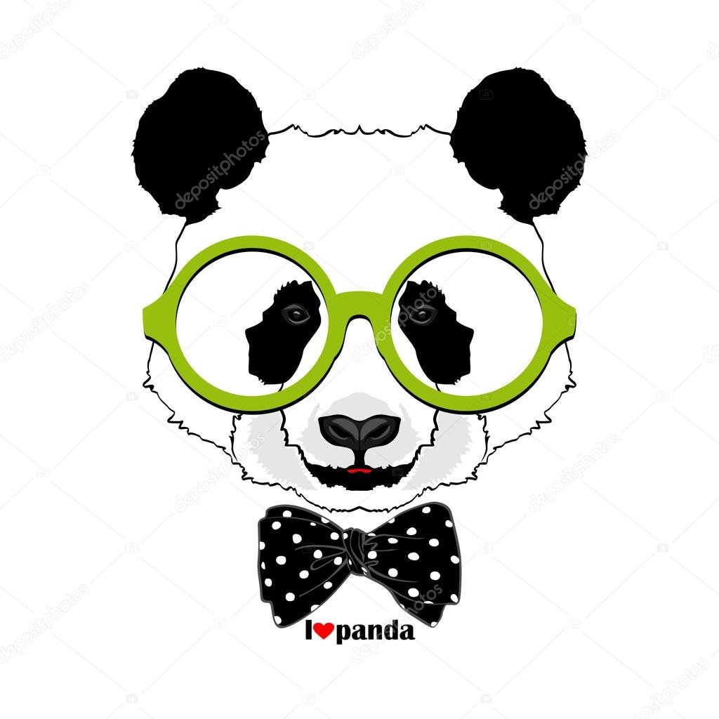 Fashion panda portrait in glasses
