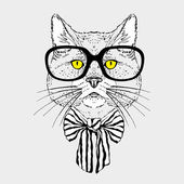 Fashion Portrait of Hipster Cat in Big Glasses and Striped Bow