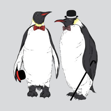retro tarzı giyinmiş iki komik penguen vektör çizim