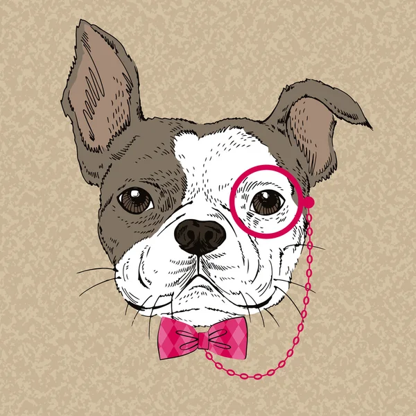 Bulldog francés en lazo rosa arco y monóculo — Archivo Imágenes Vectoriales