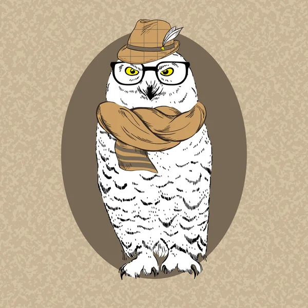 Illustratie van polar uil hipster in hoed, bril en sjaal op — Stockvector