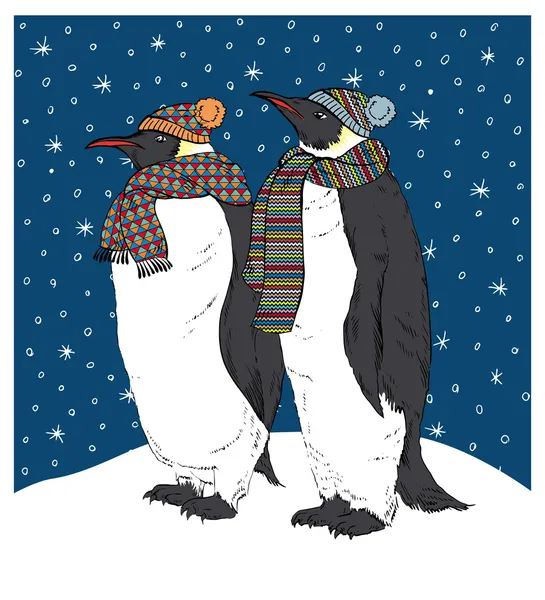 Pingüinos en Bufandas de punto — Vector de stock