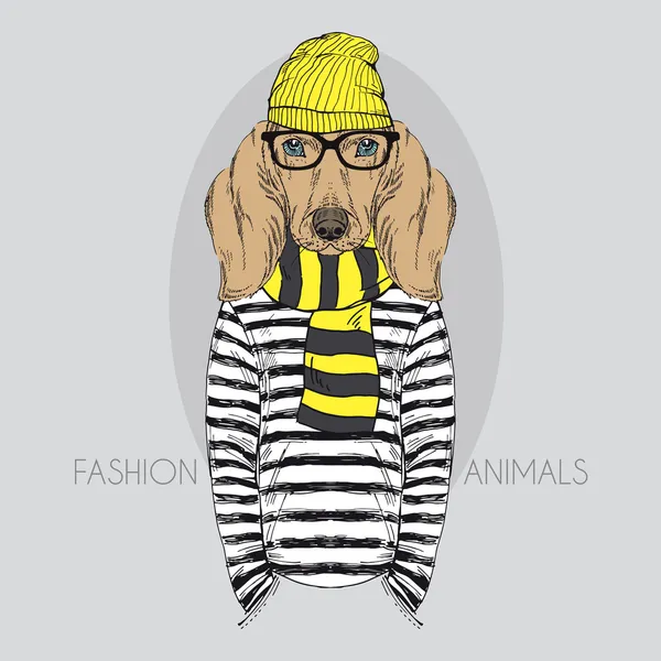 Illustration av doggy hipster i färger — Stock vektor