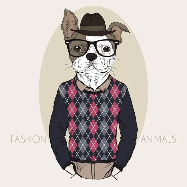 Bulldog Hipster francese a colori — Vettoriale Stock