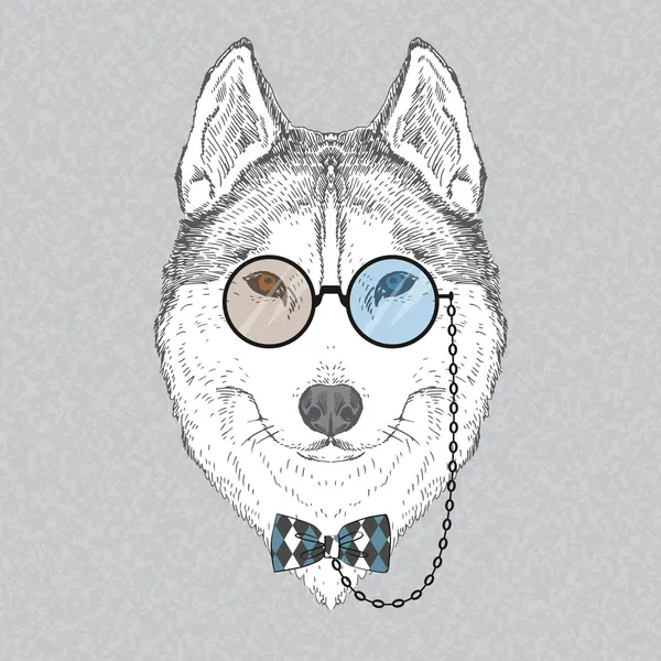 Retrato de moda de Husky — Archivo Imágenes Vectoriales