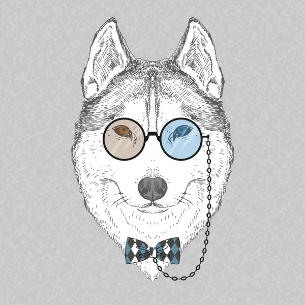 Mode portret van husky — Stockvector