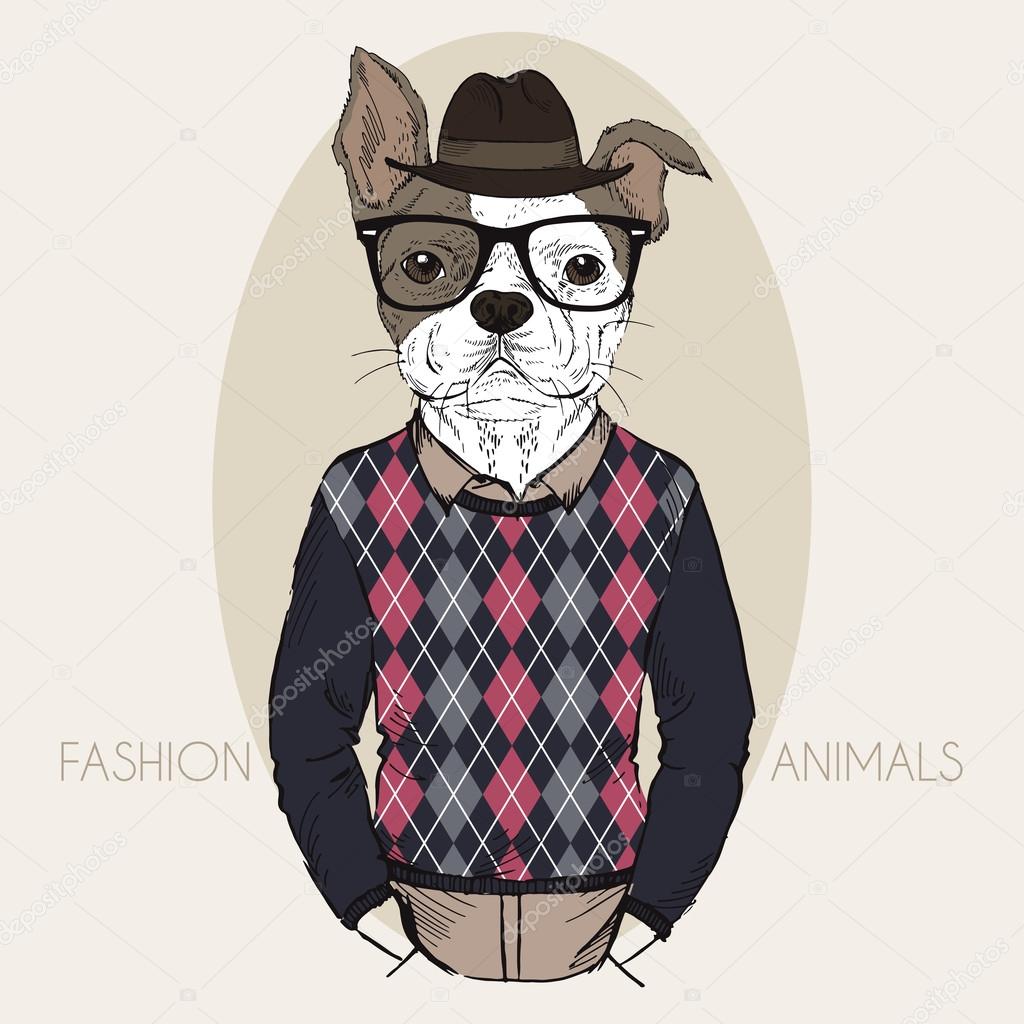 French Bulldog Hipster in colors