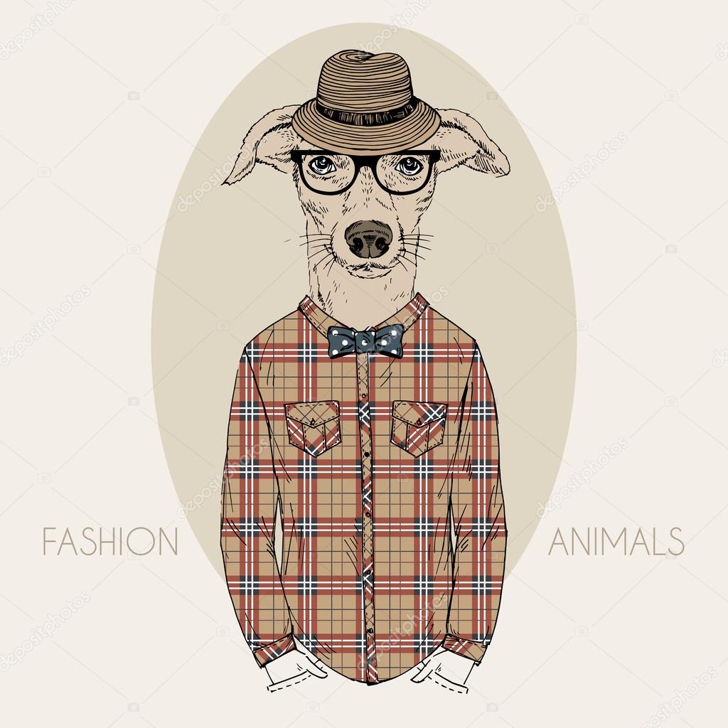 Doggy Hipster in colors