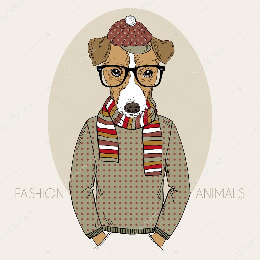 Jack Russel Terrier Hipster in colors