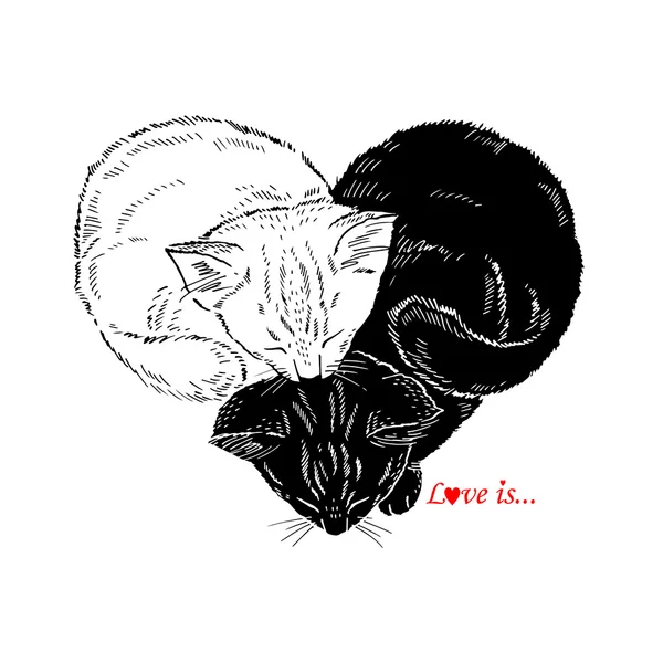 Ilustración dibujada a mano de gatitos blancos y negros que duermen en forma de corazón, Valentin Day design, Love — Archivo Imágenes Vectoriales