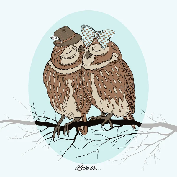 愛の 2 つの極フクロウ — ストックベクタ