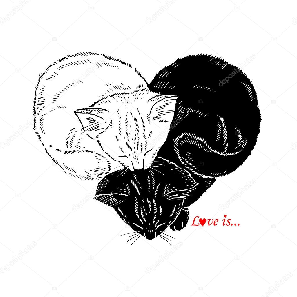 Hand drawn Illustration of Black and White Kittens sleeping in the shape of heart, Valentin Day design, Love