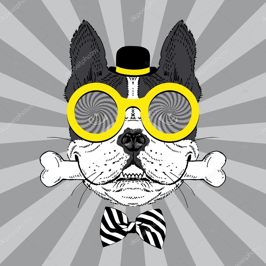 Portrait of Happy French Bulldog in bowler hat, big round glasses and striped bow with bone