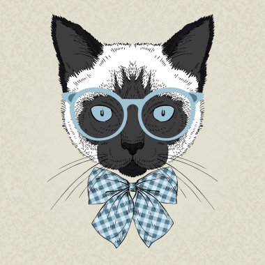 Portrait of siamese cat hipster