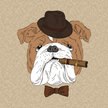 puro ile İngilizce bulldog