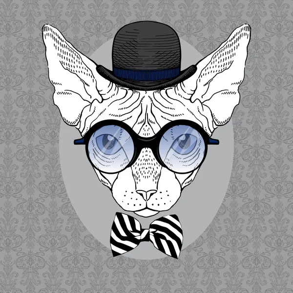 Retrato de esfinge Hipster en sombrero de jugador de bolos y gafas redondas — Vector de stock