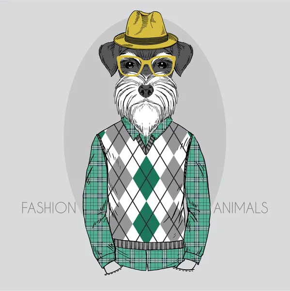 Schnauzer Hipster em cores —  Vetores de Stock