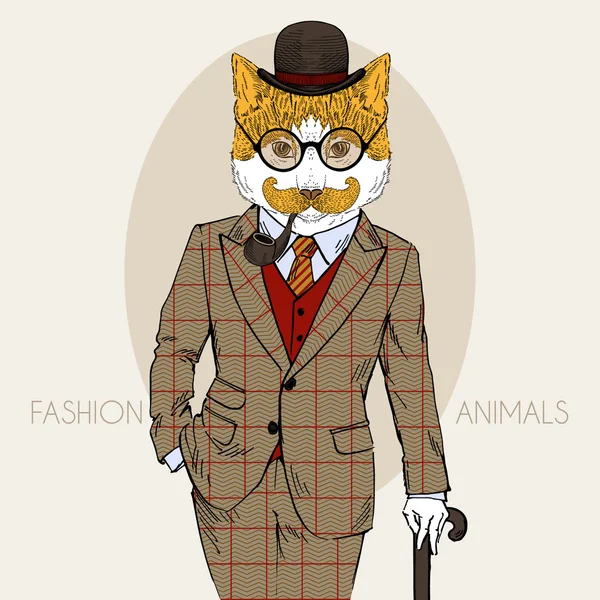 Vestido de gato, en colores — Vector de stock