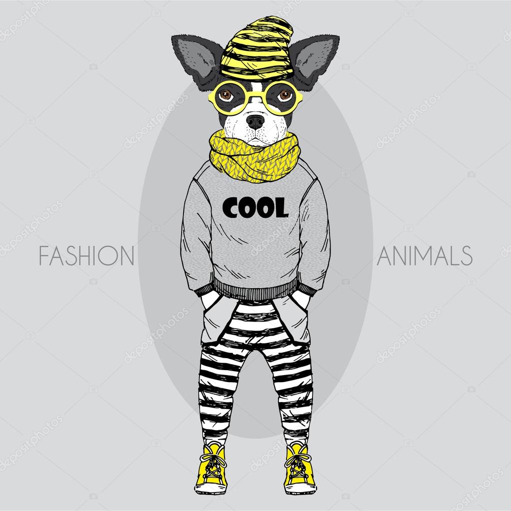 Illustrazione di moda disegnata a mano di vestiti da bambino bulldog francese in colori — Vettoriali di olgagelloz