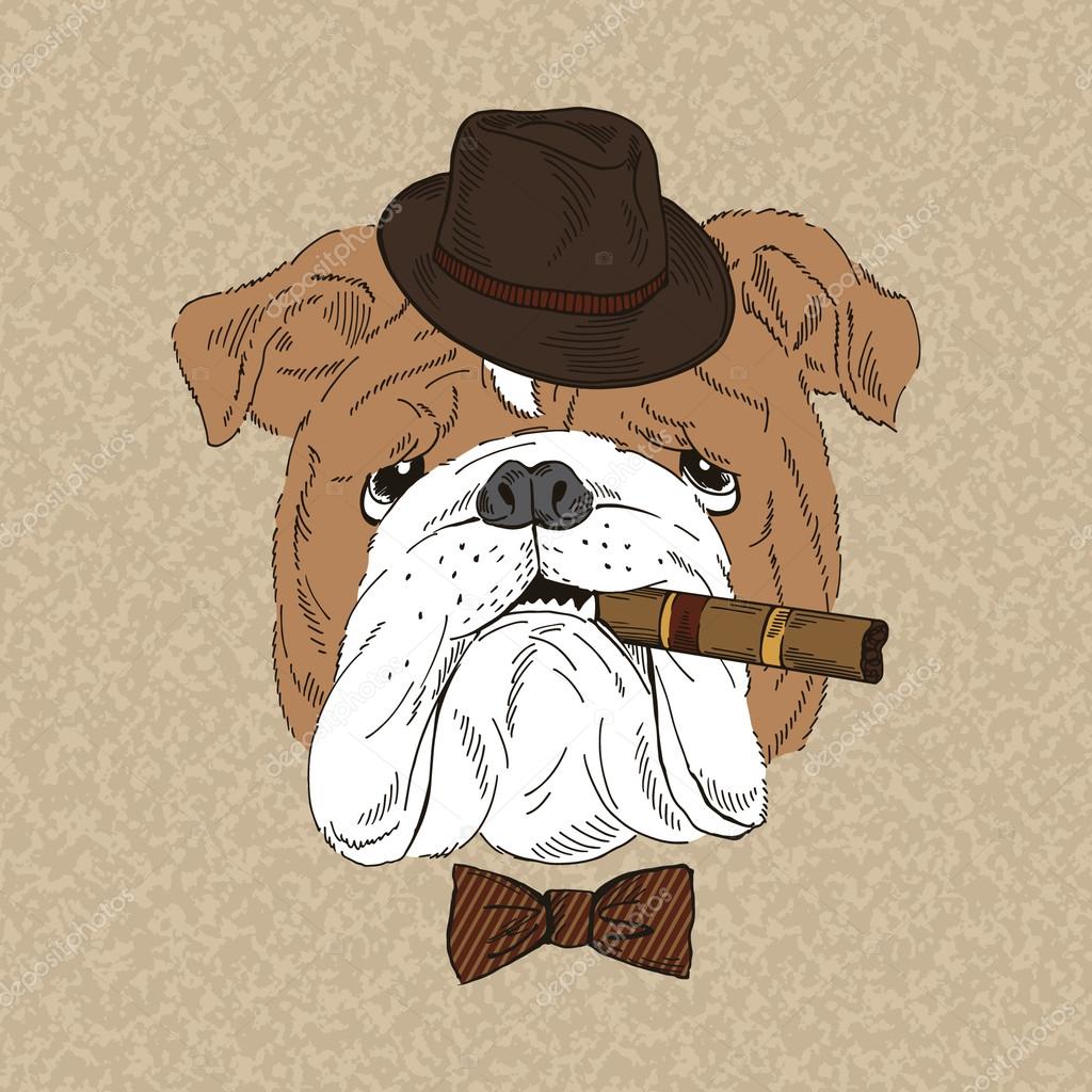 bulldog smoking cigar