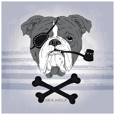 bulldog korsan çekilmiş resmi ver