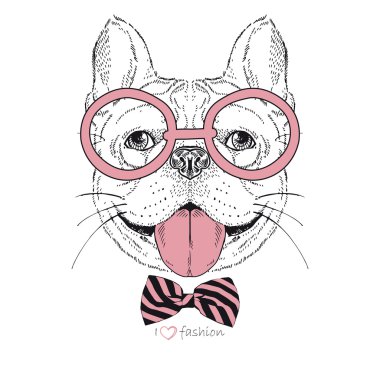 bulldog çocuk hipster portresi çizilen moda el