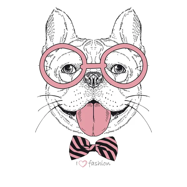 Hand drawn fashion portrait of bulldog boy hipster — Stock Vector