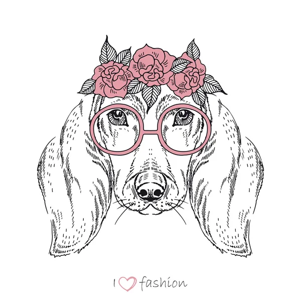 Hand drawn fashion portrait of dachshund — Stock Vector