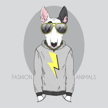 Boğa korkunç hoodie ve güneş gözlüğü