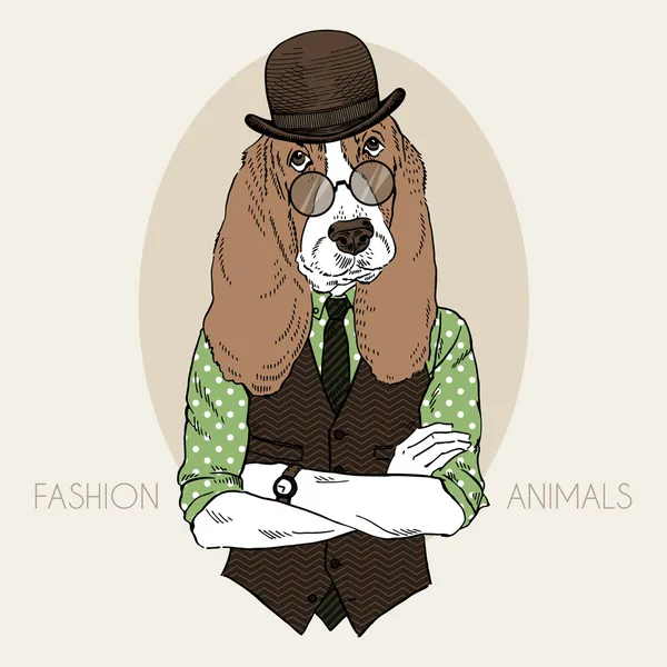Ilustración de hound hipster en colores — Vector de stock