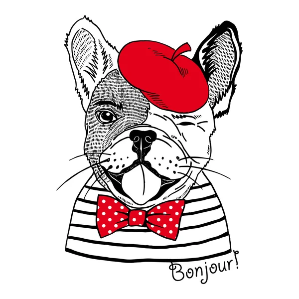 French bulldog dressed up in french style — Stock Vector