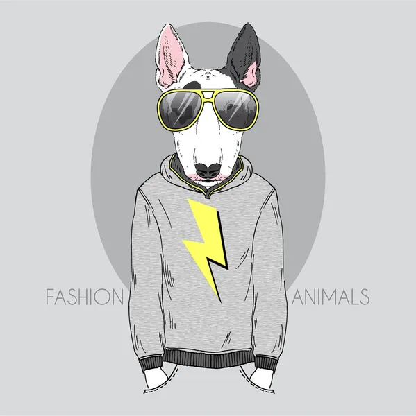 Bull terrier en sudadera con capucha y gafas de sol — Vector de stock