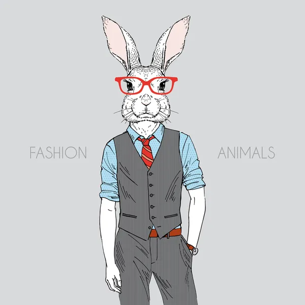 Fashion rabbit — Stock Vector