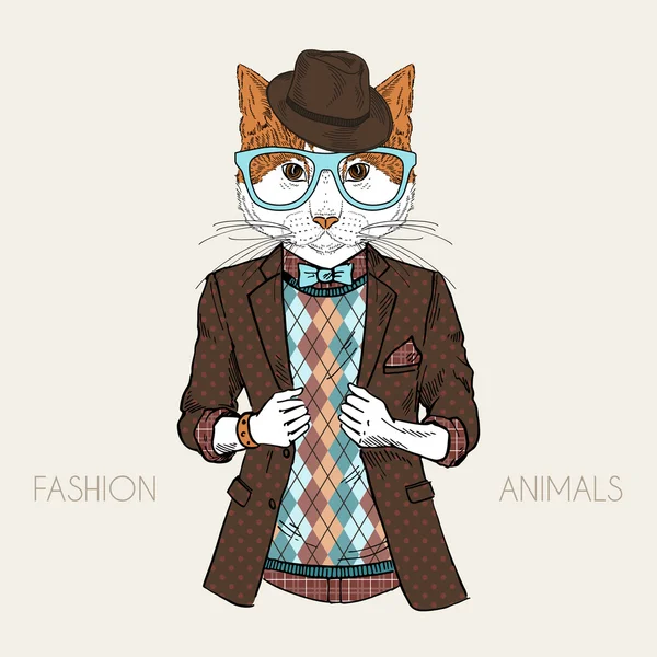 Dressed up cat — Stock Vector