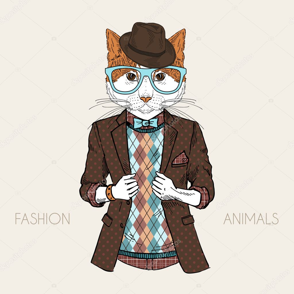 dressed up cat