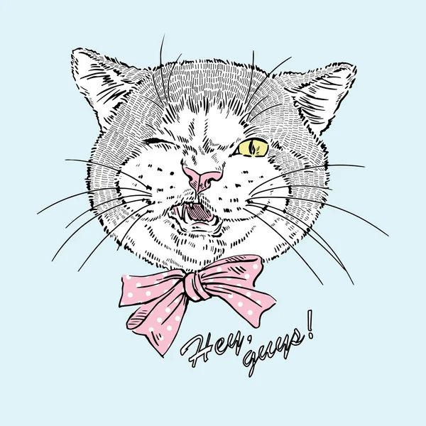 Gato guay chico — Vector de stock