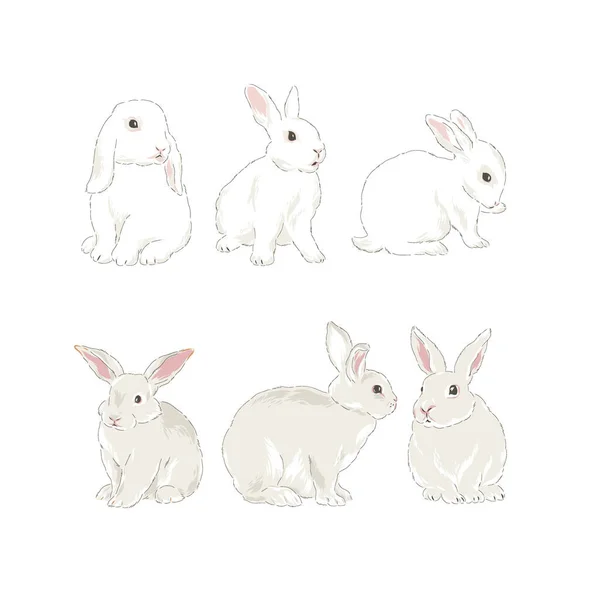 Cute wiosna Easter Bunny strony rysowane wektor ilustracji — Wektor stockowy