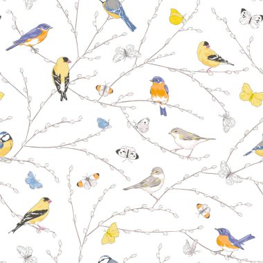 Many garden birds sitting on Spring Pussy Willow branch Flying butterfly vector seamless pattern. clipart
