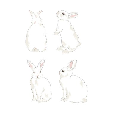 Tatlı bahar Paskalya tavşanı el çizimi vektör çizimi