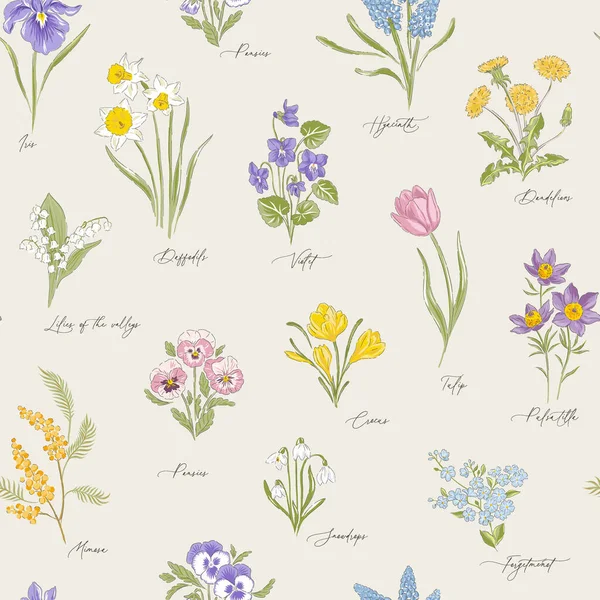 春の庭様々な花手描きベクトルシームレスパターン. — ストックベクタ