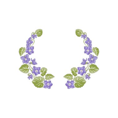 Peri Violet el çizimi çiçek vektör illüstrasyonu