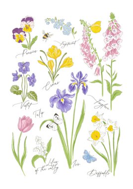 Variety spring flowers botanical hand drawn vector illustration set vector