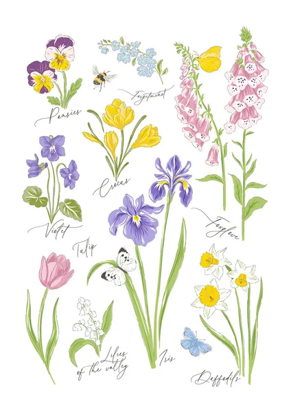 様々な春の花植物手描きベクトルイラストセット — ストックベクタ