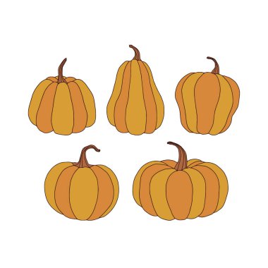 Fall Pumpkin mutfak hasat vektör çizelgesi beyaz üzerine izole