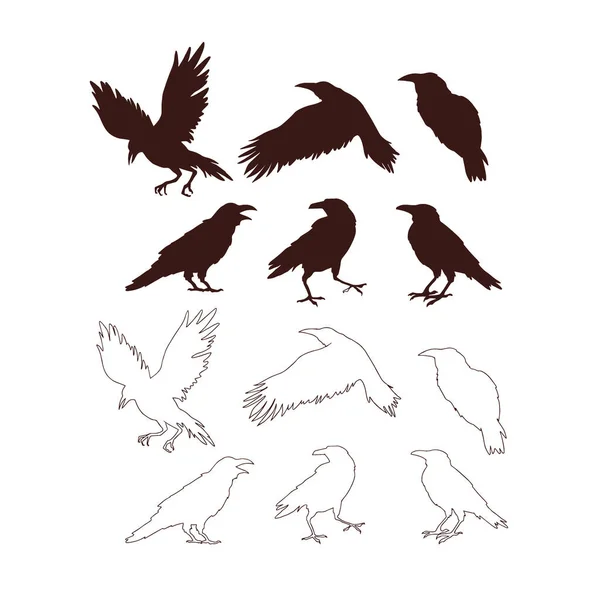 各种姿势的乌鸦轮廓立座坐姿矢量图集 免版税图库插图