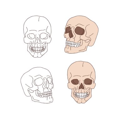 Ürkütücü retro kafatası pembesi ve kontur vektör çizimi beyaz üzerine izole edildi